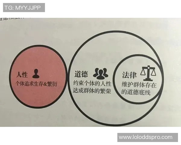姚明斌法学研究：探讨法律与社会发展的深层关系与实践应用